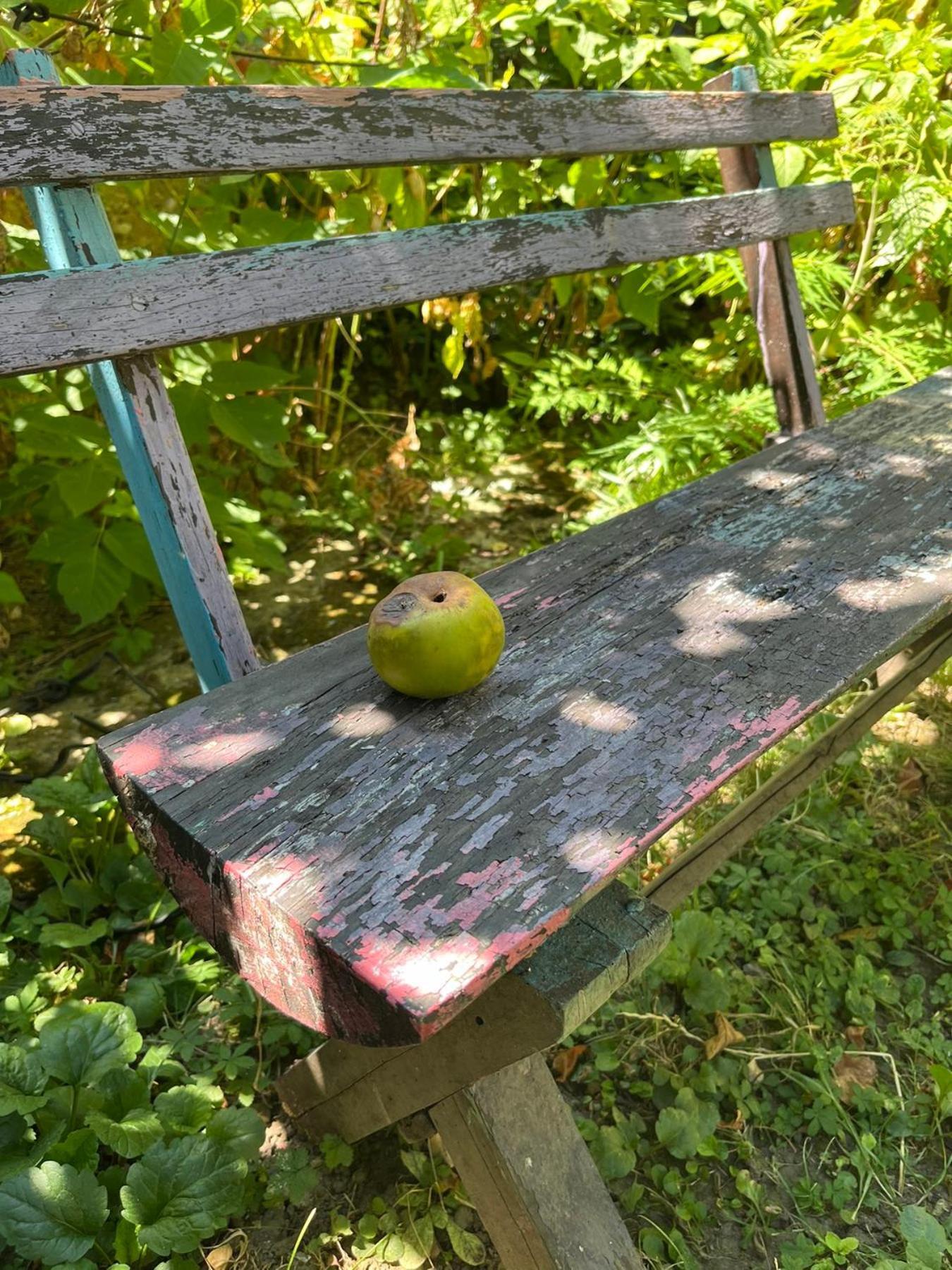 피로트 Garickina Kuca 아파트 외부 사진