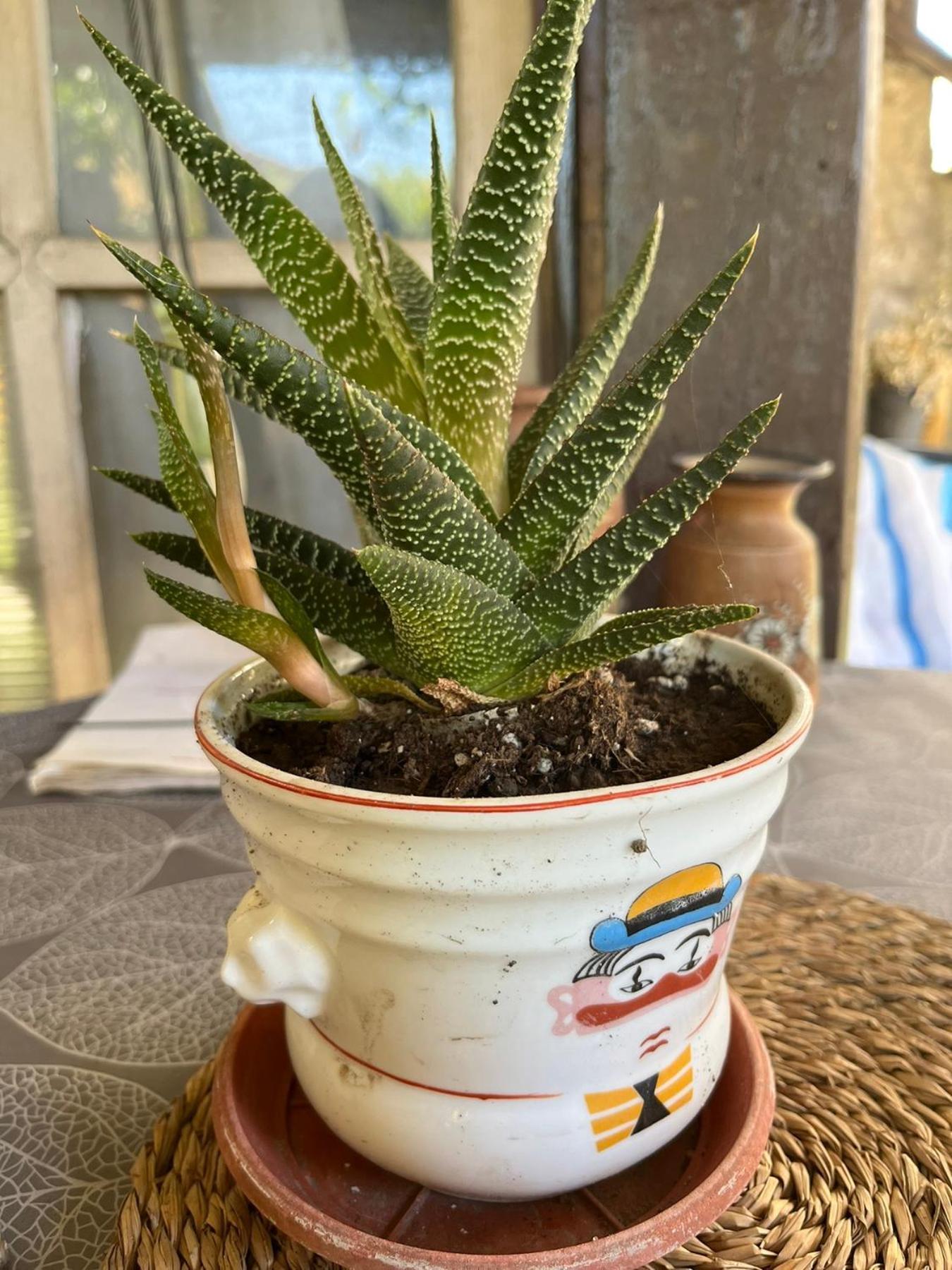피로트 Garickina Kuca 아파트 외부 사진